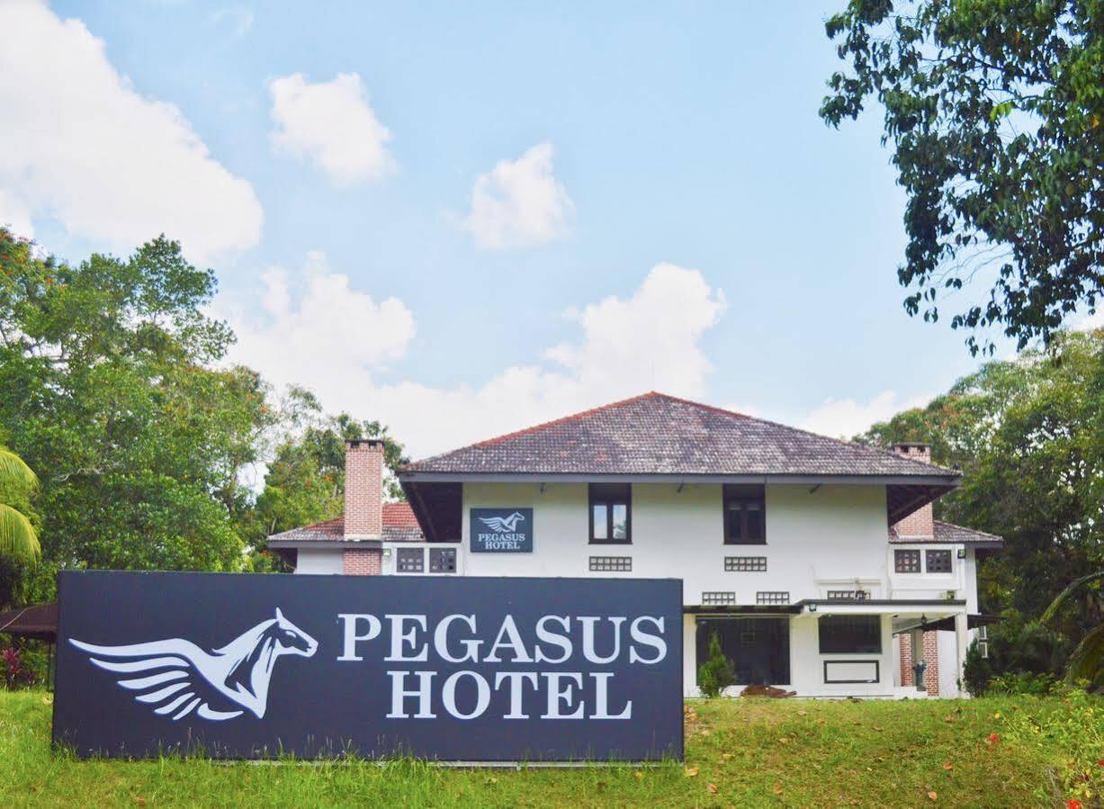 Oyo 104 Pegasus Hotel Singapore Eksteriør bilde